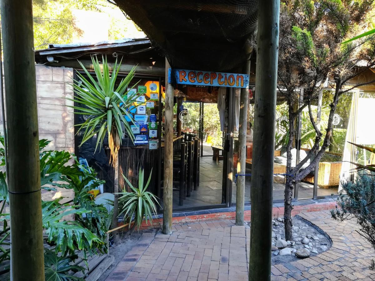 Saltycrax Backpackers And Surf Hostel By Curiocity Bloubergstrand Exterior foto
