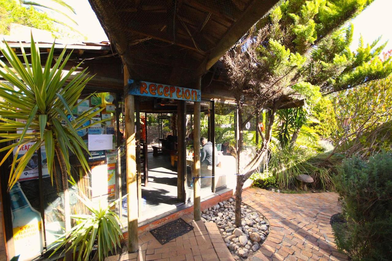 Saltycrax Backpackers And Surf Hostel By Curiocity Bloubergstrand Exterior foto