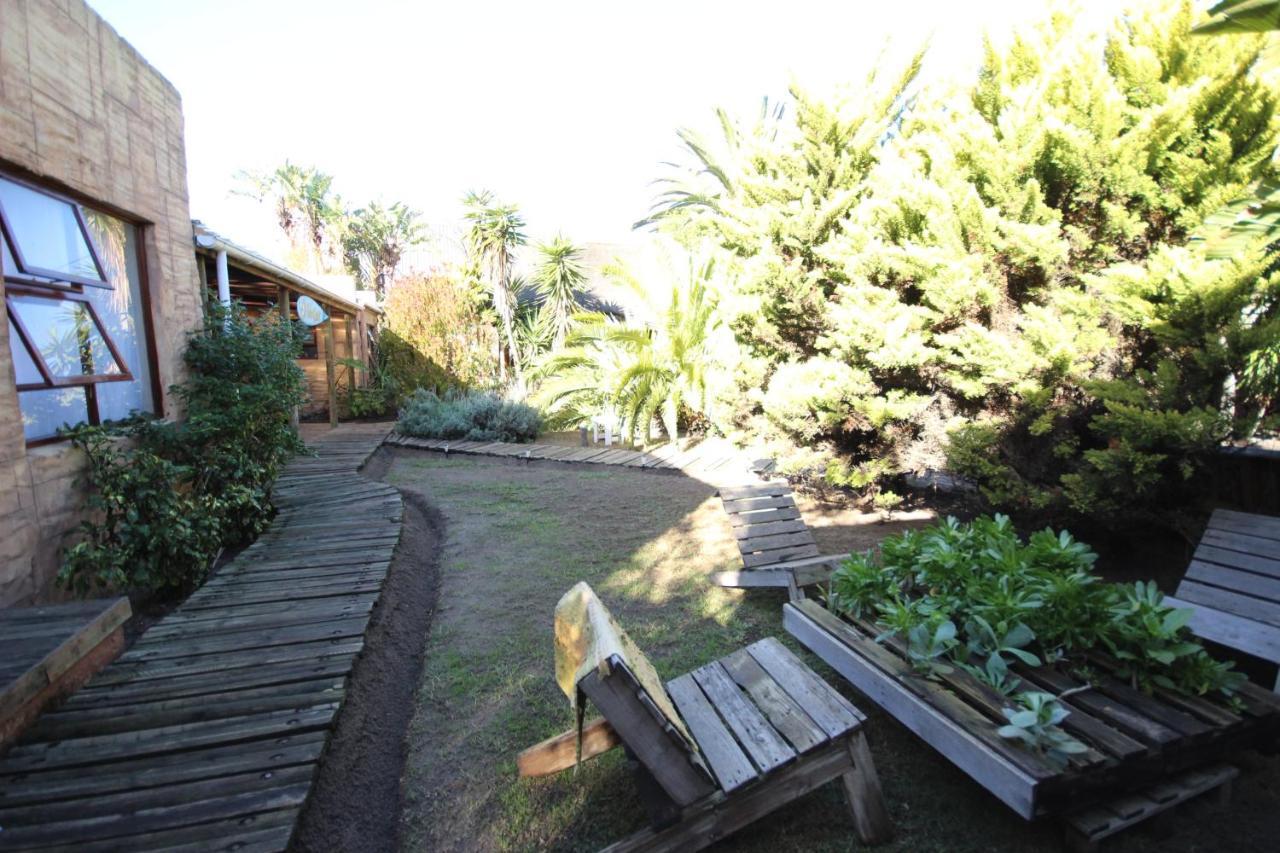 Saltycrax Backpackers And Surf Hostel By Curiocity Bloubergstrand Exterior foto